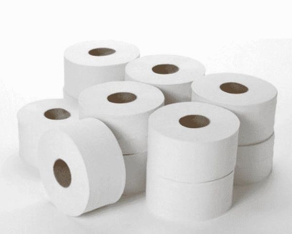 Mini jumbo toilet roll 2 ply image 0